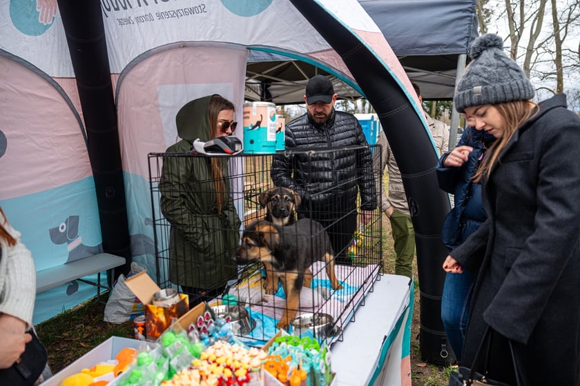 Piknik na Swojczycach - sobota 23 marca
