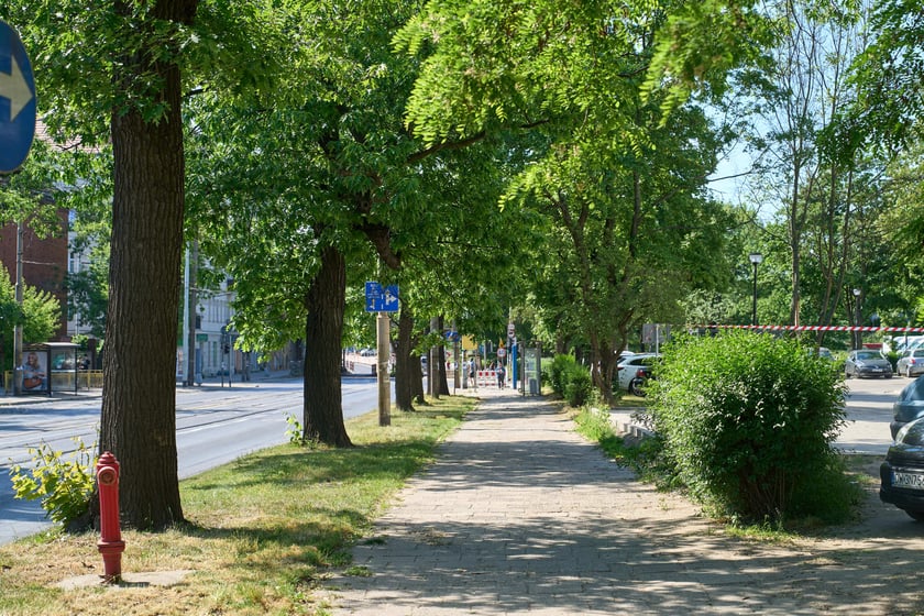 Ulica Reymonta - stan obecny.