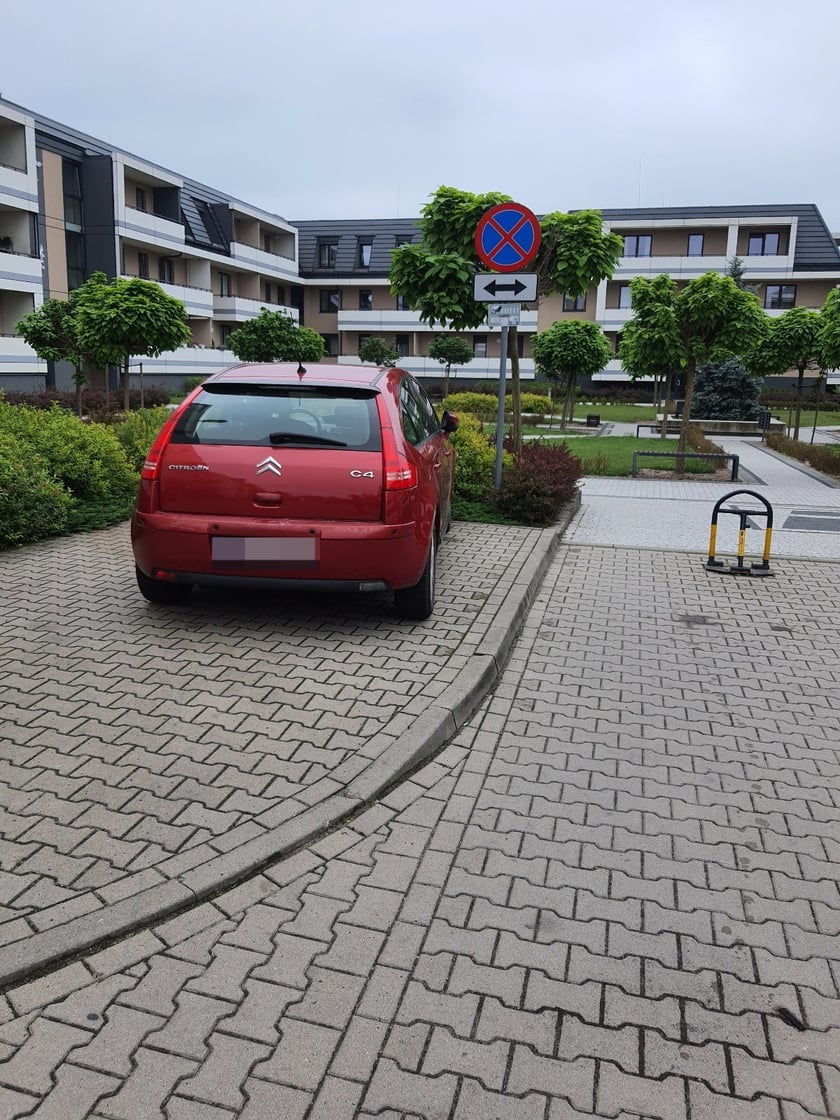 Przykłady niezgodnego z prawem parkowania. Zdjęcia wykonane podczas kontroli Straży Miejskiej Wrocławia między 3 a 9 czerwca