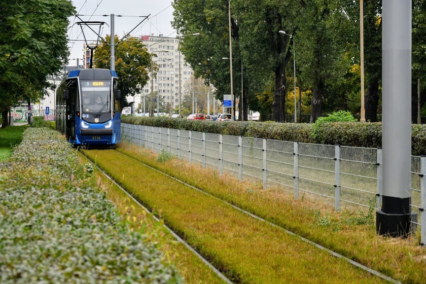 Protramy 205WrAs zostały wyprodukowane we Wrocławiu w latach 2006-2011. W 2021 zostały gruntownie zmodernizowane i przerobione na Moderusy Beta.