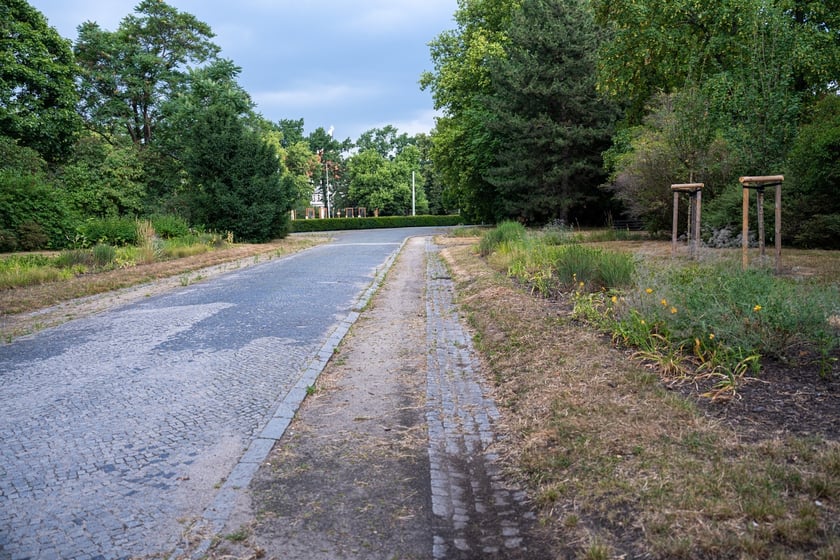 Remont pl. Powstańców Śląskich - miasto szuka projektanta