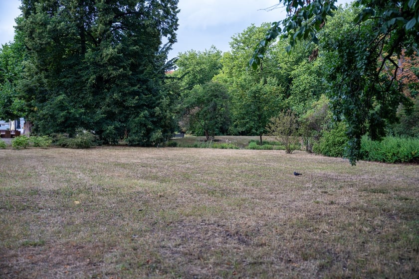 Remont pl. Powstańców Śląskich - miasto szuka projektanta