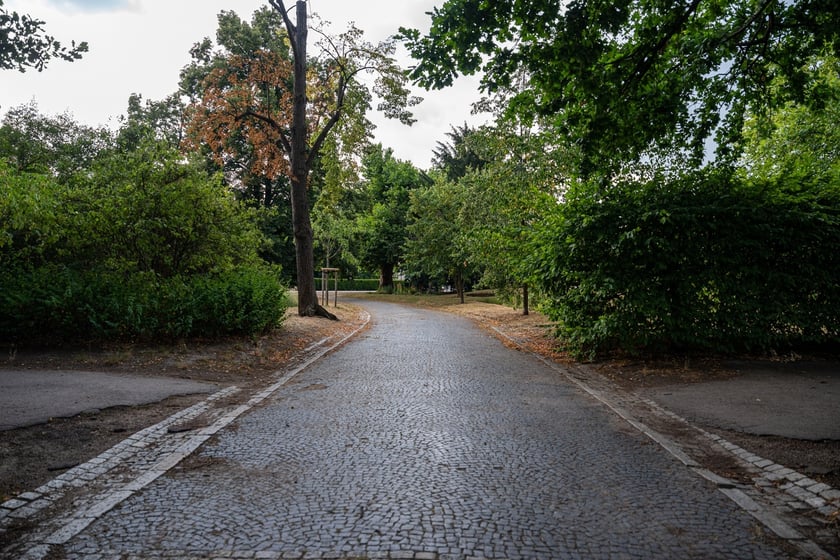 Remont pl. Powstańców Śląskich - miasto szuka projektanta