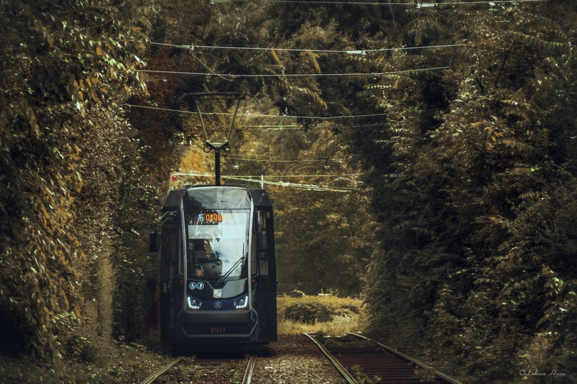 Zdjęcie wyróżnione w konkurs fotograficznym "Kalendarz MPK 2025"