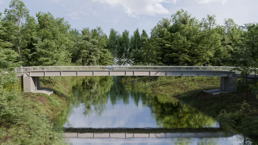 Wizualizacja kładki nad Widawą w Lesie Rędzińskim