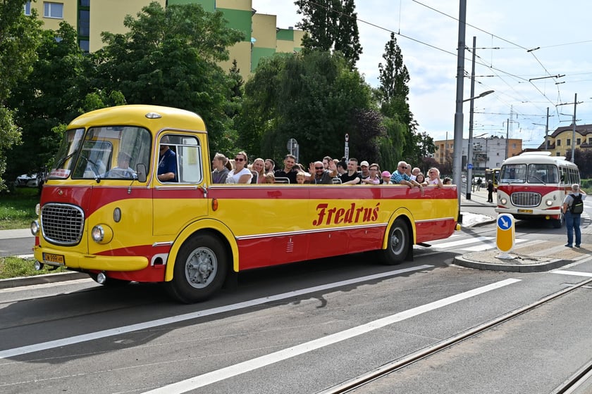 Jelcz 272 MEX w wersji kabrio, czyli słynny Fredruś. Na zdjęciu podczas parady historycznych pojazd&oacute;w z okazji otwarcia TAT na Nowy Dw&oacute;r. Fredrusia wyremontował KSTM, ale nie będzie on kursował na Wrocławskich Liniach Turystycznych. W przeciwieństwie do innego "og&oacute;rka", Jelcza 043, kt&oacute;ry na zdjęciu jedzie za Fredrusiem. Zdjęcie archwialne z 2023 roku