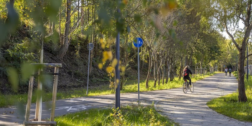 Na zdjęciu fragment Promenady Krzyckiej, jednej z najpiękniejszych  i ciągle budowanych tras dla pieszych i rowerzystów we Wrocławiu