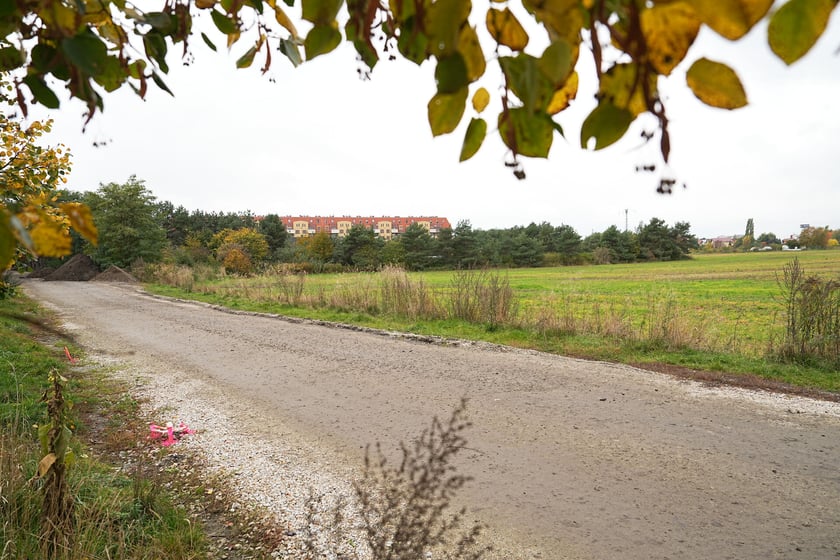 Przebudowa ulicy Trawowej na Muchoborze Wielkim