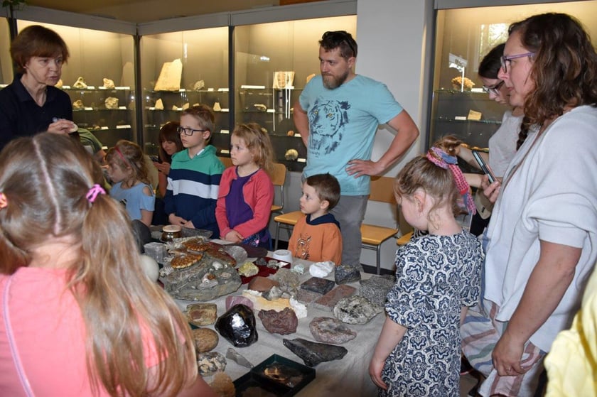 Noc Muzeów w Muzeum Geologicznym