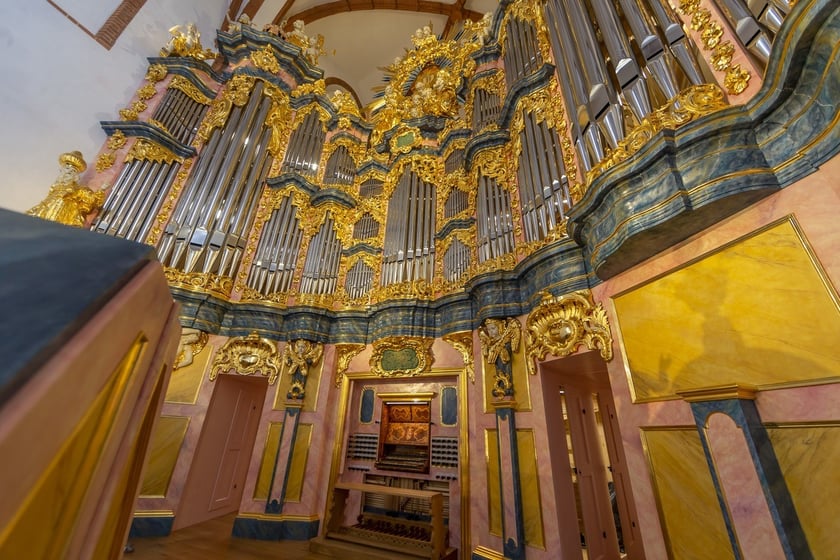 organy Englera Wrocław bazylika św. Elżbiety