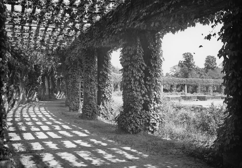 Wrocław, Pergola w Parku Szczytnickim, 1953