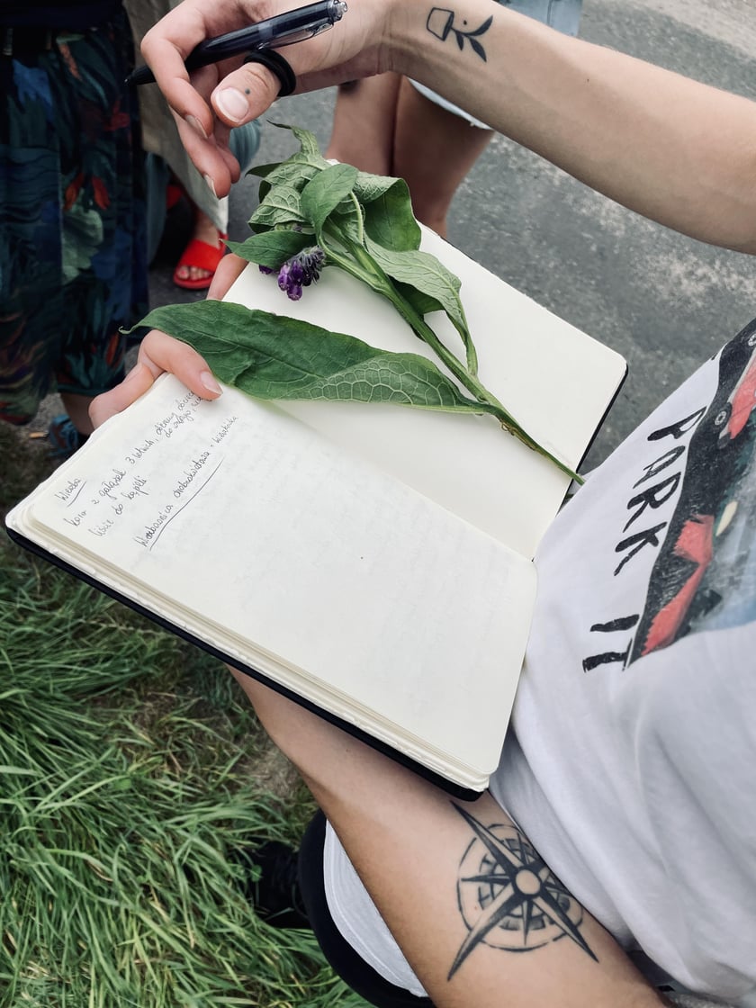 Warsztaty Panien Dziewanien i zbieranie roślin