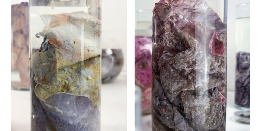 Zdjęcia promujące wystawę Artifictions