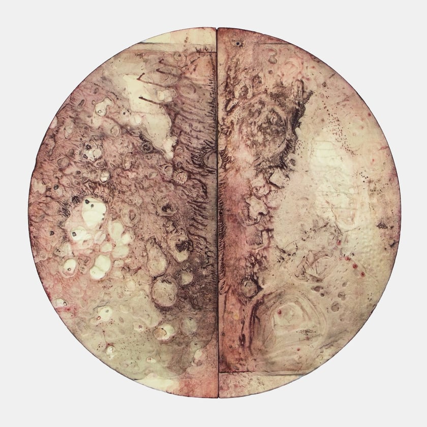 Zdjęcia promujące wystawę Artifictions