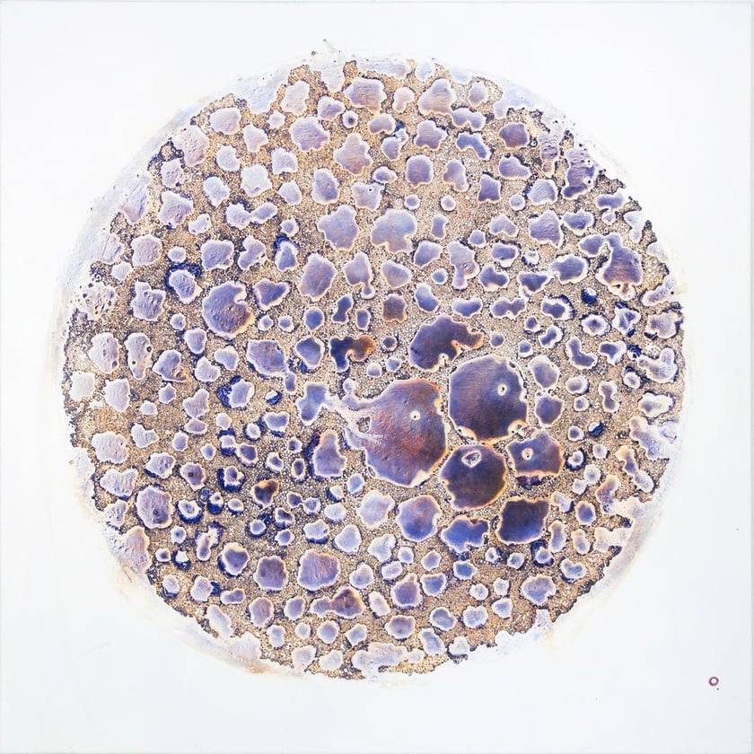 Zdjęcia promujące wystawę Artifictions