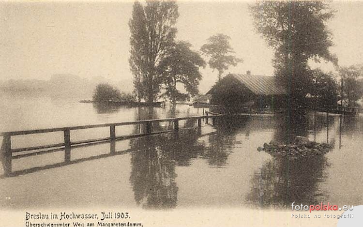 Powódź w przedwojennym Wrocławiu. Lipiec 1903 roku