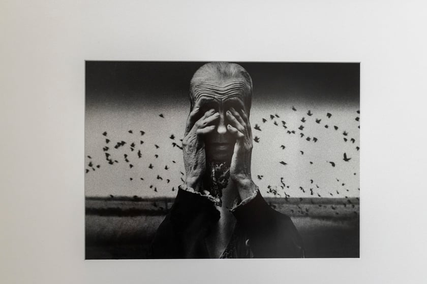 Wystawa Collage-klejone światy w Pawilonie Czterech Kopuł