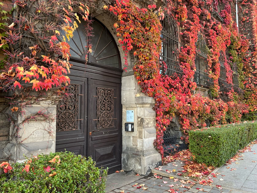 Muzeum Narodowe we Wrocławiu