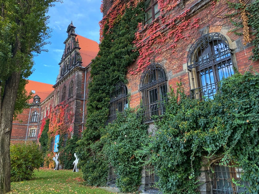 Muzeum Narodowe we Wrocławiu