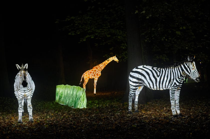 Lumina Park w Zamku Topacz pod Wrocławiem - zachwycające miejsce