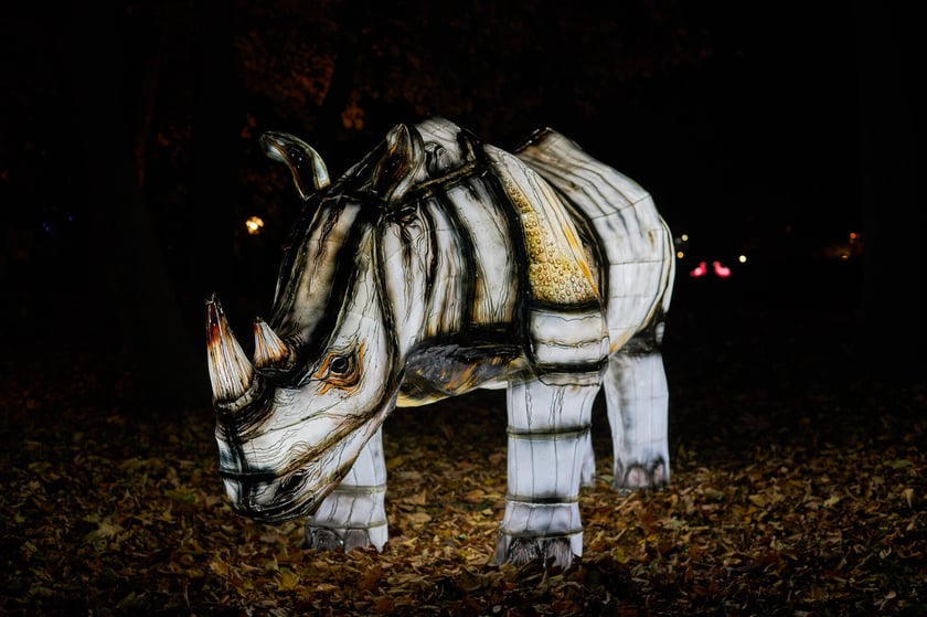 Lumina Park w Zamku Topacz pod Wrocławiem - zachwycające miejsce