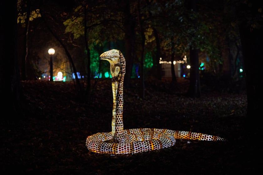Lumina Park w Zamku Topacz pod Wrocławiem - zachwycające miejsce