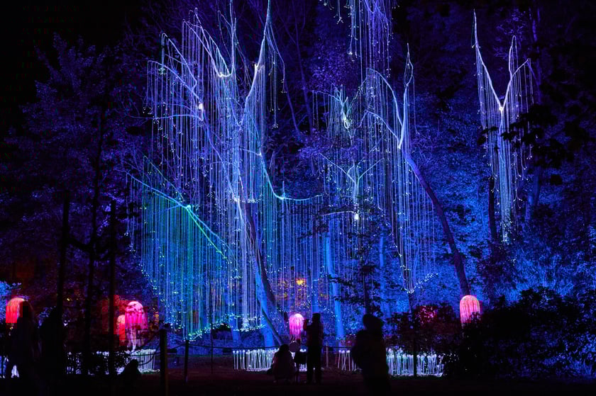 Lumina Park w Zamku Topacz pod Wrocławiem - zachwycające miejsce