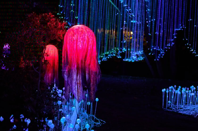 Lumina Park w Zamku Topacz pod Wrocławiem - zachwycające miejsce