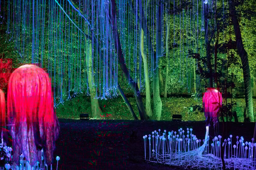 Lumina Park w Zamku Topacz pod Wrocławiem - zachwycające miejsce