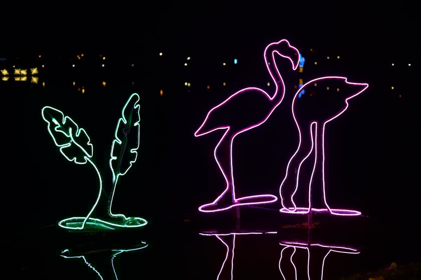 Lumina Park w Zamku Topacz pod Wrocławiem - zachwycające miejsce