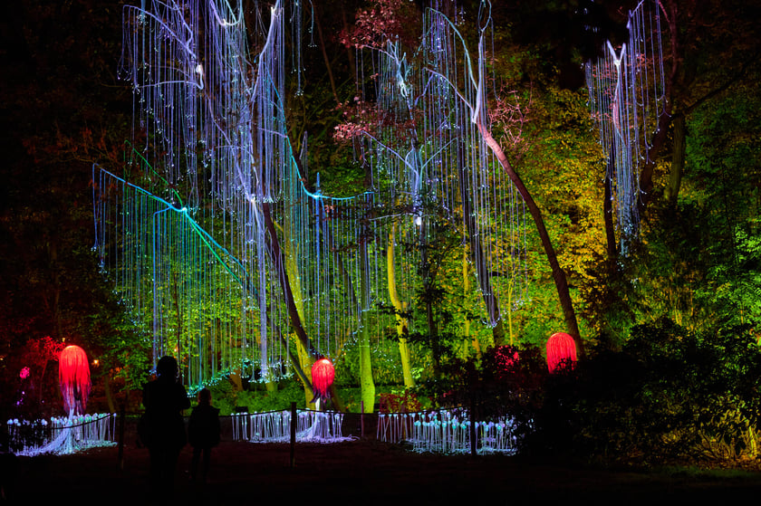 Lumina Park w Zamku Topacz pod Wrocławiem - zachwycające miejsce