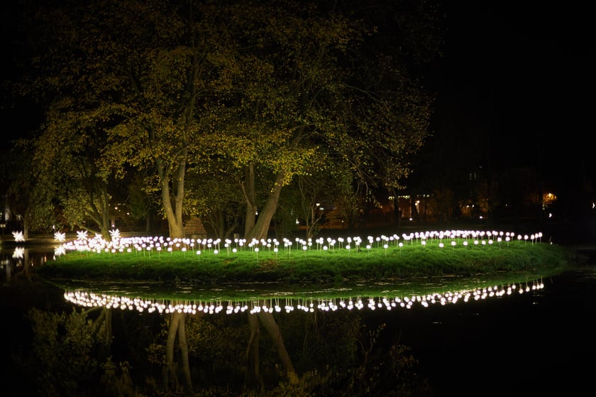 Lumina Park w Zamku Topacz pod Wrocławiem - zachwycające miejsce