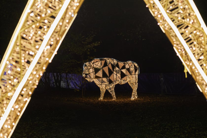 Lumina Park w Zamku Topacz pod Wrocławiem - zachwycające miejsce