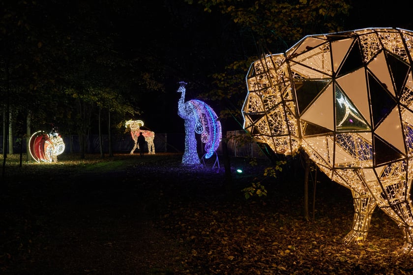 Lumina Park w Zamku Topacz pod Wrocławiem - zachwycające miejsce