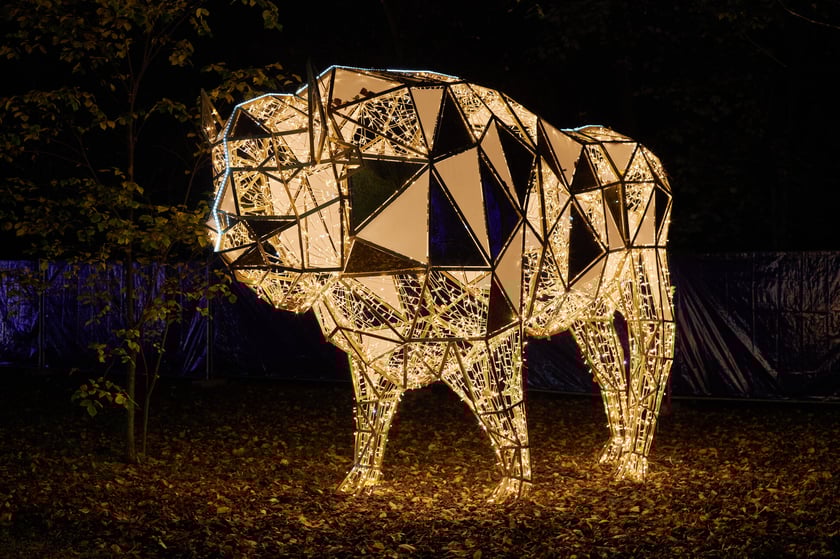 Lumina Park w Zamku Topacz pod Wrocławiem - zachwycające miejsce