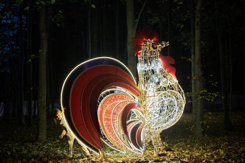 Lumina Park w Zamku Topacz pod Wrocławiem - zachwycające miejsce