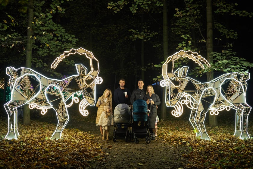 Lumina Park w Zamku Topacz pod Wrocławiem - zachwycające miejsce