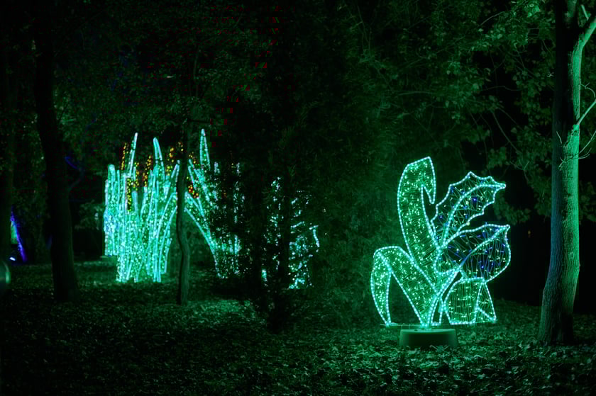 Lumina Park w Zamku Topacz pod Wrocławiem - zachwycające miejsce