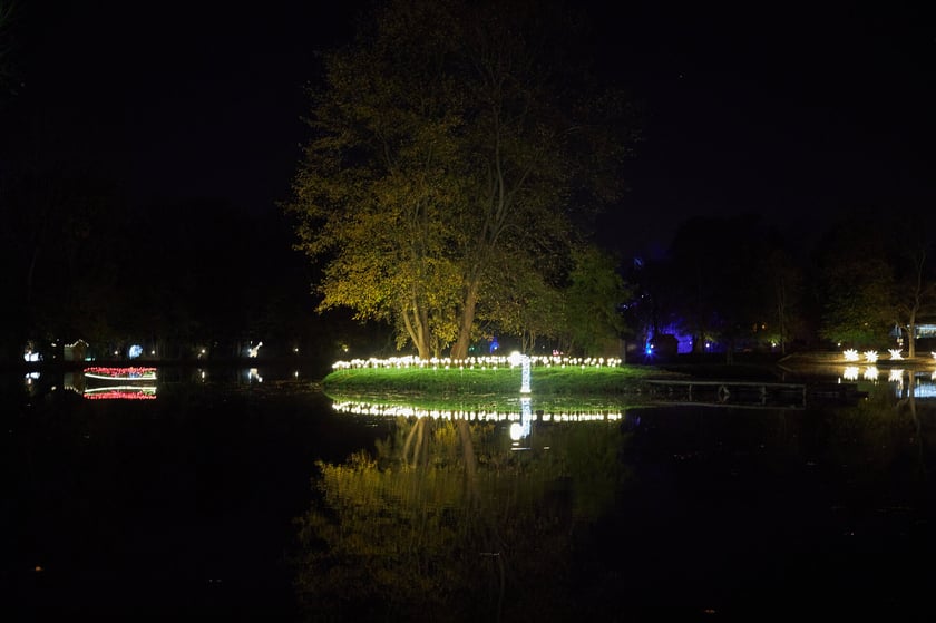 Lumina Park w Zamku Topacz pod Wrocławiem - zachwycające miejsce