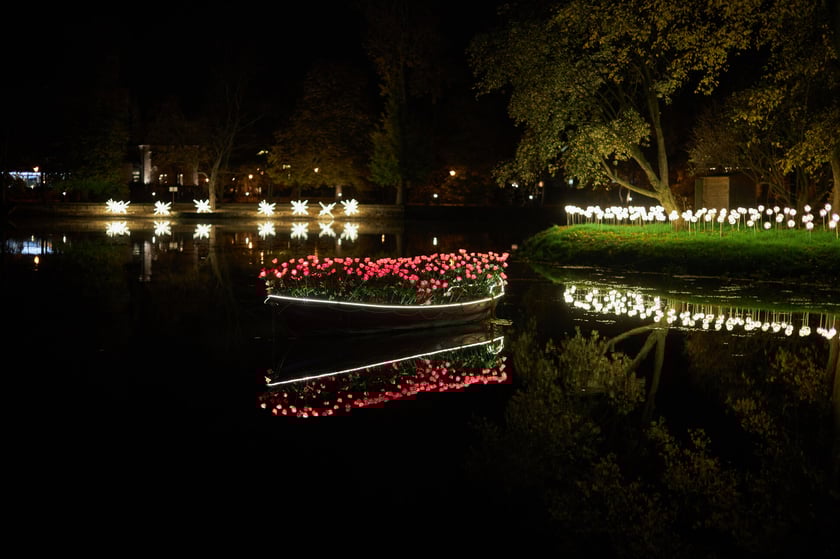 Lumina Park w Zamku Topacz pod Wrocławiem - zachwycające miejsce