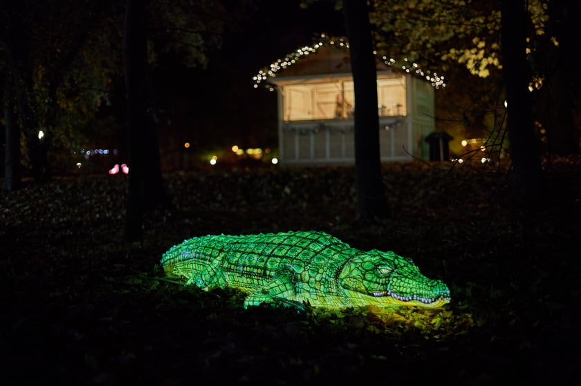 Lumina Park w Zamku Topacz pod Wrocławiem - zachwycające miejsce