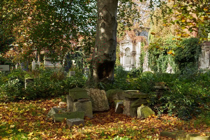 Stary cmentarz żydowski przy ul. Ślężnej we Wrocławiu