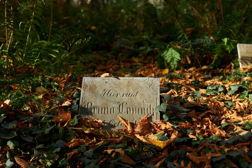 Stary cmentarz żydowski przy ul. Ślężnej we Wrocławiu
