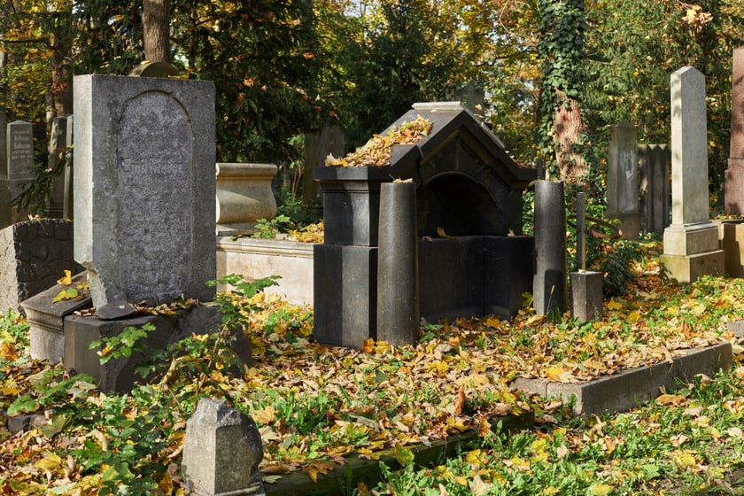 Stary cmentarz żydowski przy ul. Ślężnej we Wrocławiu
