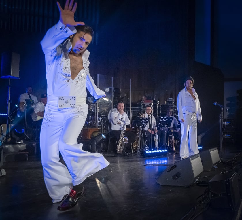 Koncert Wrocław - Graceland 6 rano dla Moniki Jaworskiej