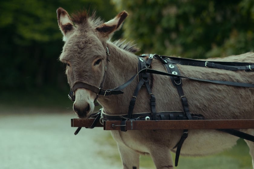 Na zdjęciu scena z filmu &bdquo;IO&rdquo; Jerzego Skolimowskiego