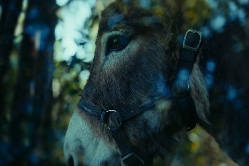 Na zdjęciu scena z filmu &bdquo;IO&rdquo; Jerzego Skolimowskiego