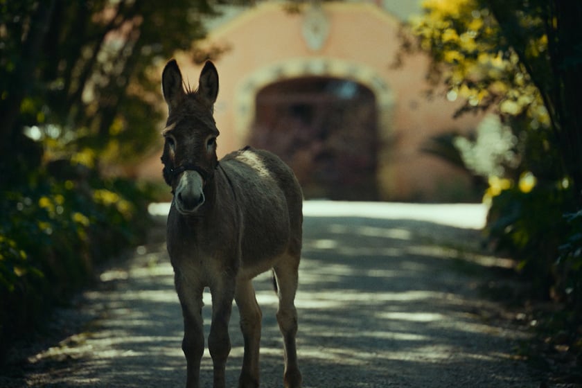 Na zdjęciu scena z filmu &bdquo;IO&rdquo; Jerzego Skolimowskiego