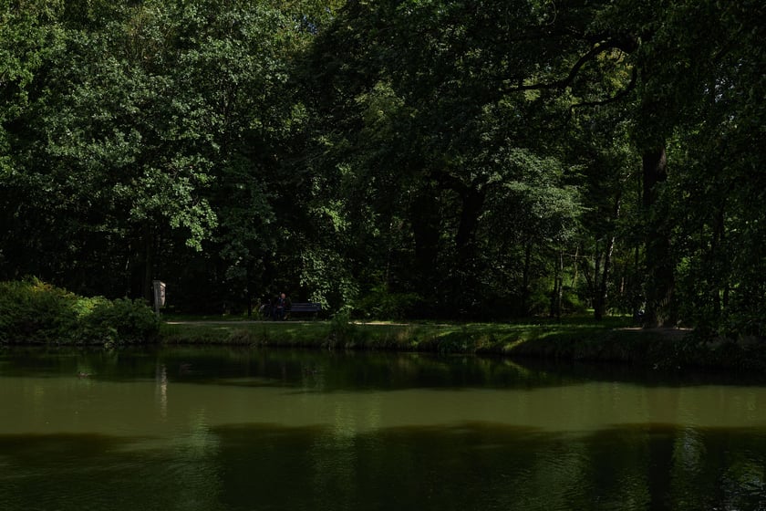 Pałac i park w Leśnicy