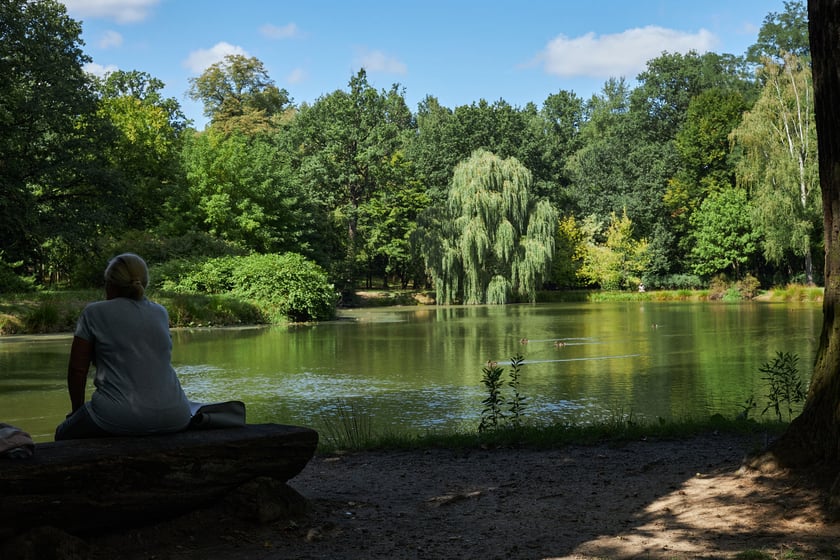Pałac i park w Leśnicy